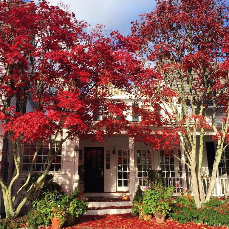 Hotel Hob Knob Edgartown Esterno foto